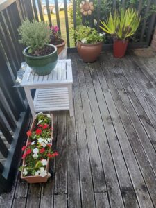 Dirty Deck