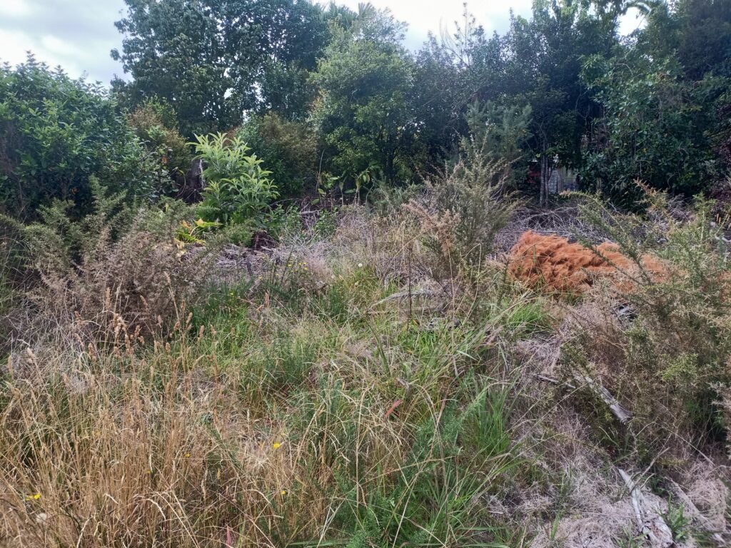 Section Clearing Before work