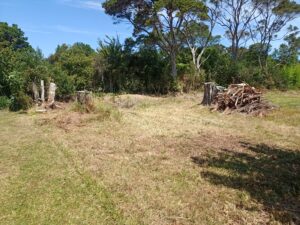 Our mission is to lower the maintenance costs associated with trees, hedges, and gardens for property managers, investors, and private homeowners.