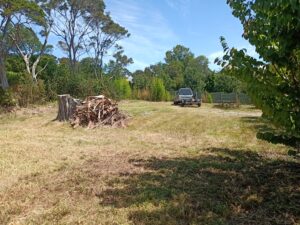 Our mission is to lower the maintenance costs associated with trees, hedges, and gardens for property managers, investors, and private homeowners.