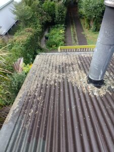 Water blasting Roof Mold