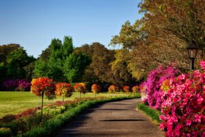 Garden,Garden care Handyman